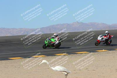 media/Nov-12-2023-SoCal Trackdays (Sun) [[5d1fba4e7d]]/Bowl (930am)/